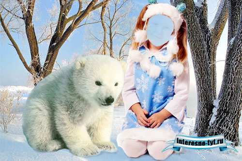 Новогодний шаблон для фотошопа -С белым медвежонком