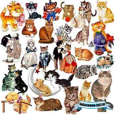 Клипарт - Кошки