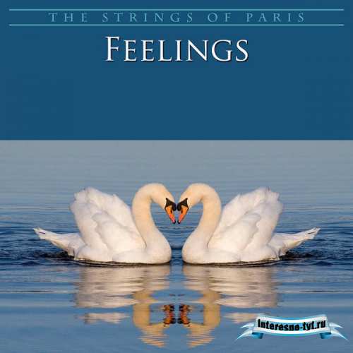 The Strings Of Paris Orchestra - Feelings