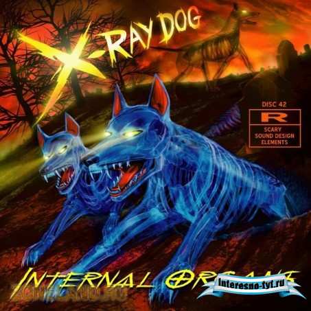 Аудио - футажи X-Ray Dog CD42