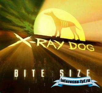 Аудио - футажи X-Ray Dog - Bite Size CD44 - 47