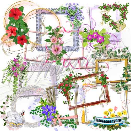 Клипарт - Цветочные вырезы для рамок / Clip Art - Floral cutouts for the scope