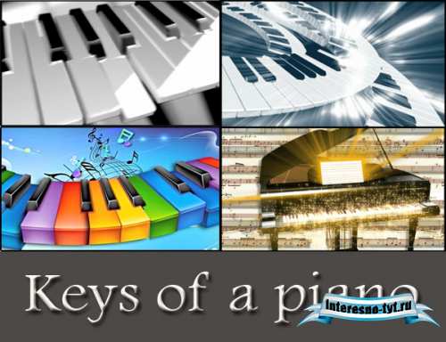Keys of a piano