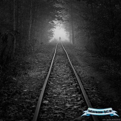 Реалистические фотографии автора Leszek Bujnowski