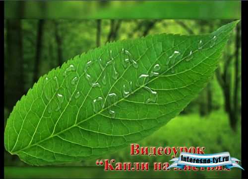 Видео-урок по Фотошопу - Стили слоев: Капли на листочке