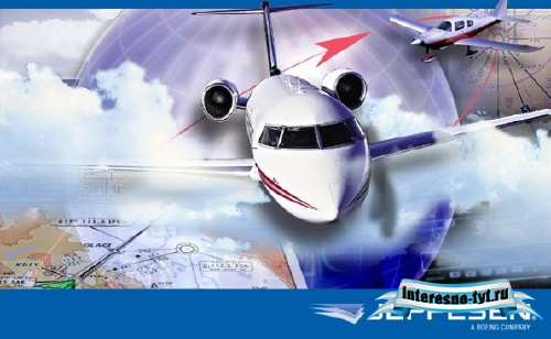 Jeppesen Data Cycle 1106 (23.03.11) Английская версия