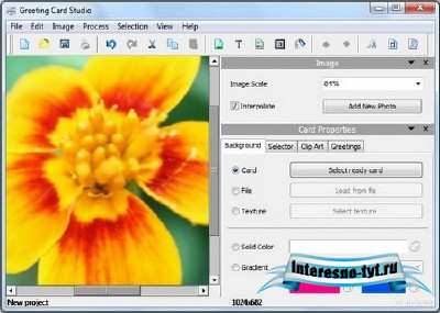 AMS Greeting Card Studio 5.15 Portable