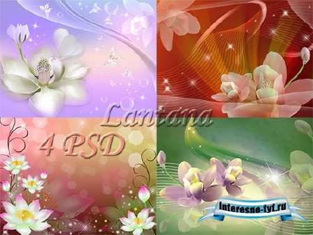 PSD исходники - Сказочная нимфея