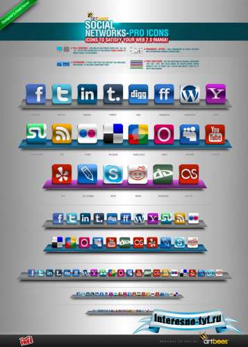 Social Networks Pro Icons - GraphicRiver Social Networks Pro Icons - GraphicRiver