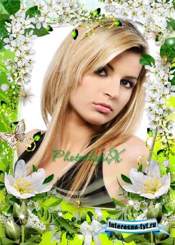 Цветочная рамка для Photoshop – Белая черемуха