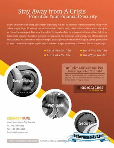 Business Flyer Template Business Flyer Template
