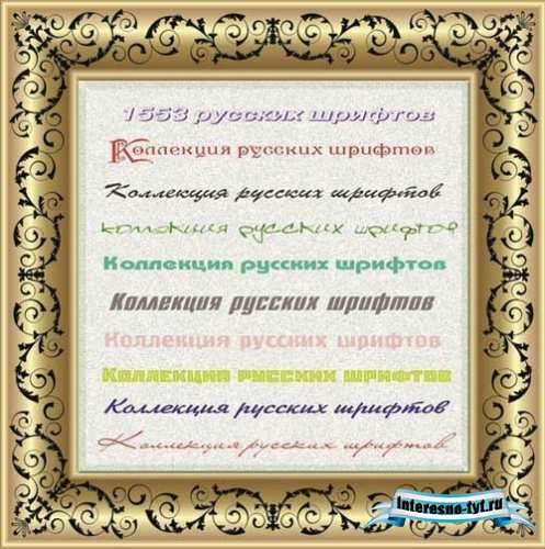 Шрифты для фотошопа русские – Сборник из 1553 шрифтов