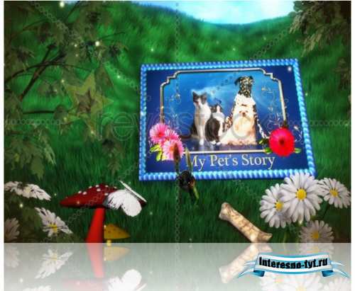 videohive after effects project - My Pet's Story