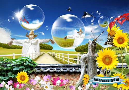 Sources - A beautiful garden with flowers Sources - A beautiful garden with flowers