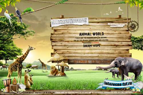 Sources - Zoo Sources - Zoo