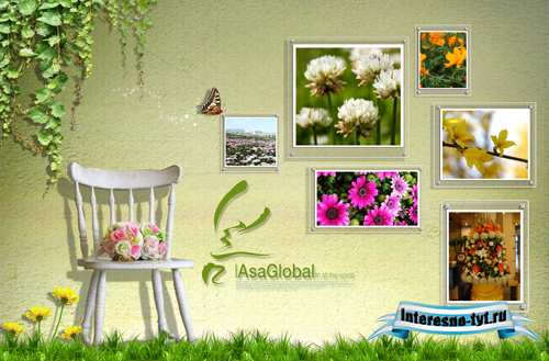 Sources - Photos of flowers Sources - Photos of flowers