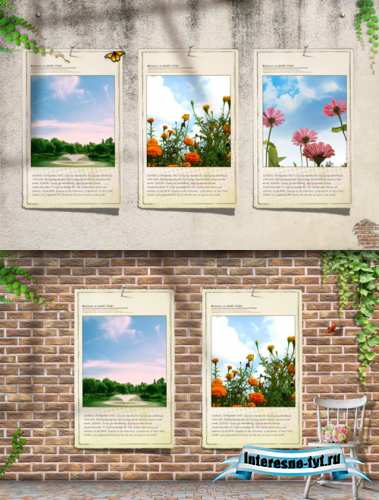 Sources - Beautiful Flowers Sources - Beautiful Flowers