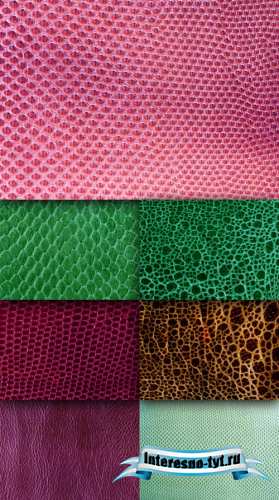Textures - Leather Crocodile Textures - Leather Crocodile
