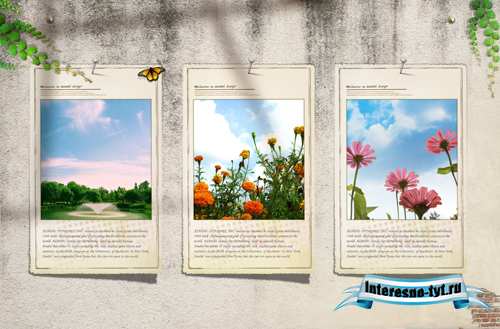 Sources - Photographs of flowers