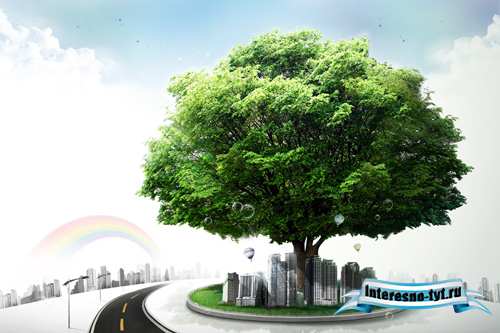 Sources - A large green tree Sources - A large green tree
