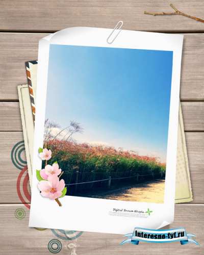 Sources - Photo cards Sources - Photo cards
