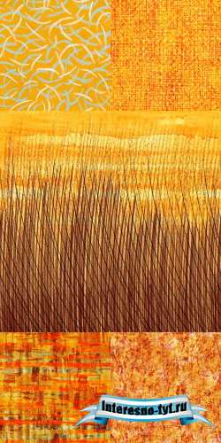 A set of orange texture A set of orange texture