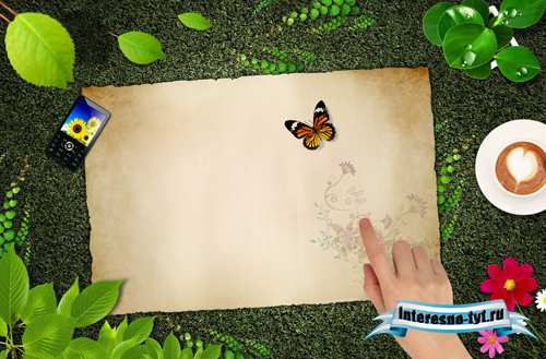 Sources - A butterfly in the meadow Sources - A butterfly in the meadow