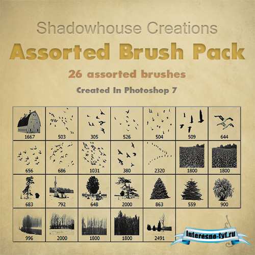 Assorted Brush Pack Assorted Brush Pack