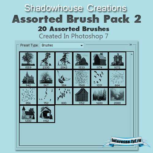 Assorted Brush Pack 2