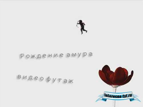 Свадебный футаж - Рождение амура