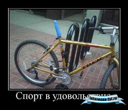 Демотиваторы "101%" от 25/08/2011