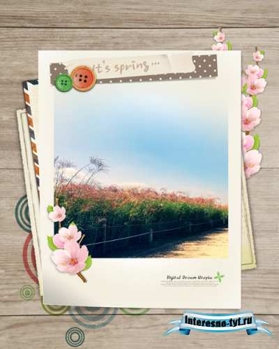 Sources - A branch of cherry Sources - A branch of cherry
