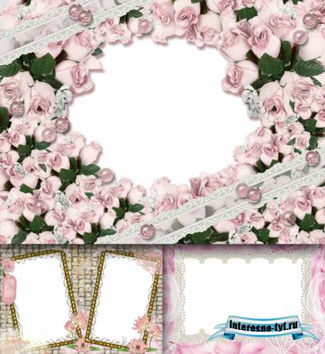 Photo Frame - Pink Rose Photo Frame - Pink Rose