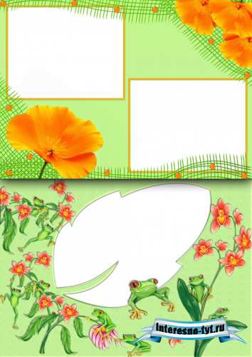 Photo Frame - Small Frog Photo Frame - Small Frog