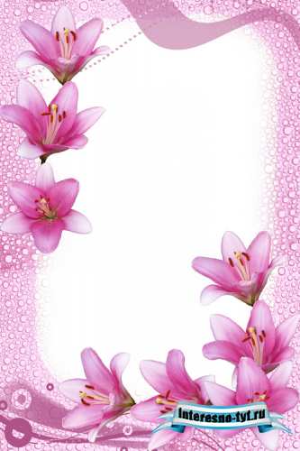 Photo Frame - Pink Lilies Photo Frame - Pink Lilies
