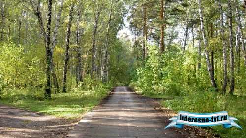 Красивейшие обои природы в высоком разрешении