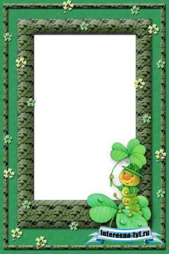 Photo Frame - Green caterpillar Photo Frame - Green caterpillar