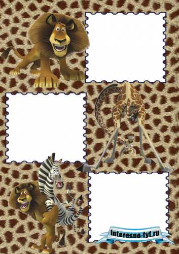 Photo Frame - The Lion, giraffe and zebra Photo Frame - The Lion, giraffe and zebra