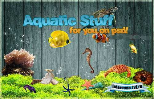 Psd file aquatic life Psd file aquatic life