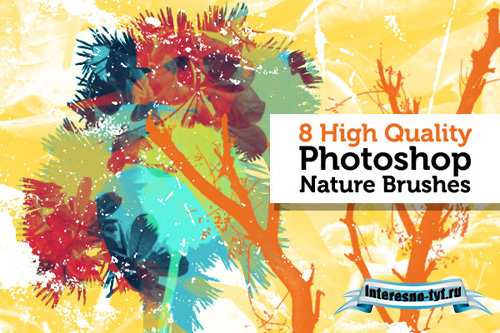 Nature Brushes Nature Brushes