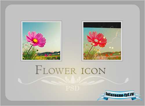 Flower icon Psd Flower icon Psd