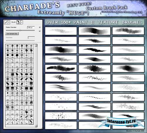 PS Painters Brushes Set PS Painters Brushes Set