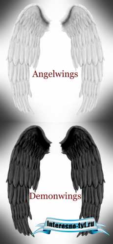 Angel and Demon Wings PSD Angel and Demon Wings PSD