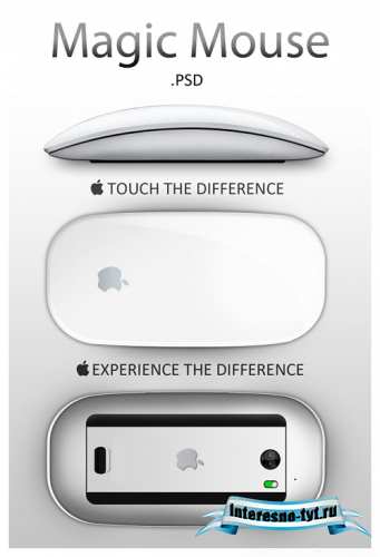 Magic Mouse psd Magic Mouse psd