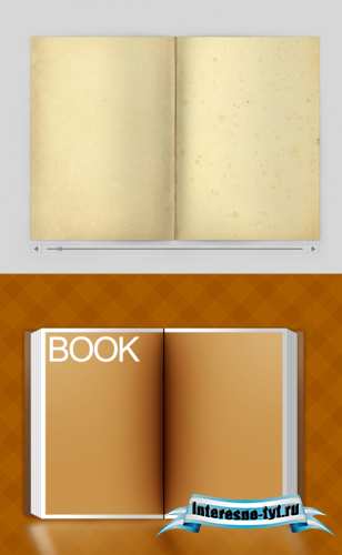 The old book papers The old book papers