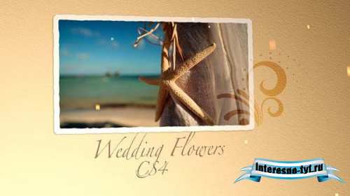 After Effects VideoHive - Wedding Flowers CS4