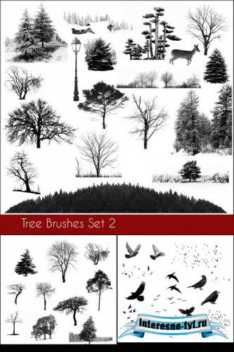 Tree Brushes and bird Brushes set Tree Brushes and bird Brushes set