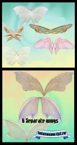 Butterfly wings pack # 2 Butterfly wings pack # 2