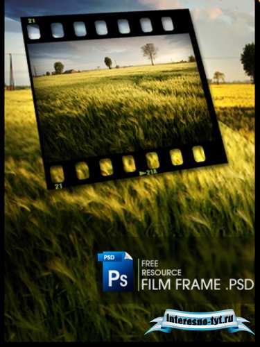 Free Film Frame Free Film Frame