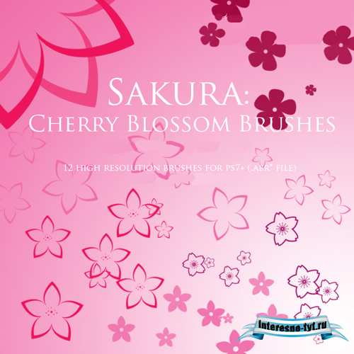Sakura Cherry Blossom Brushes Sakura Cherry Blossom Brushes